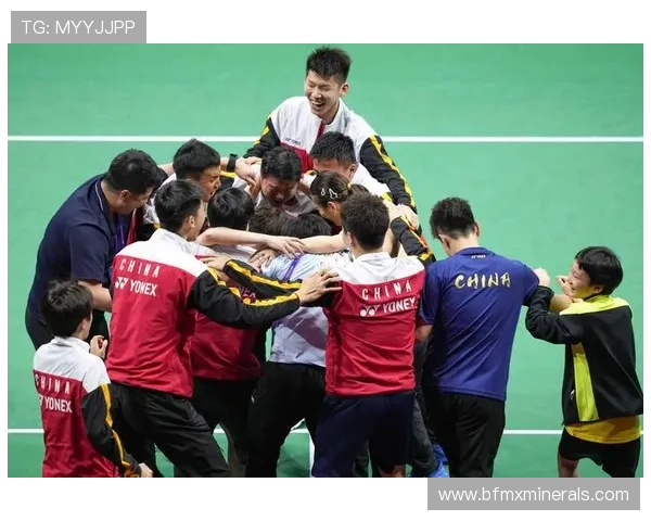 杨磊羽毛球人生的深度对话与成长之路探秘