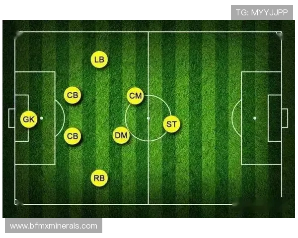 杭州羽毛球队区域防守策略解析及其在比赛中的应用探讨