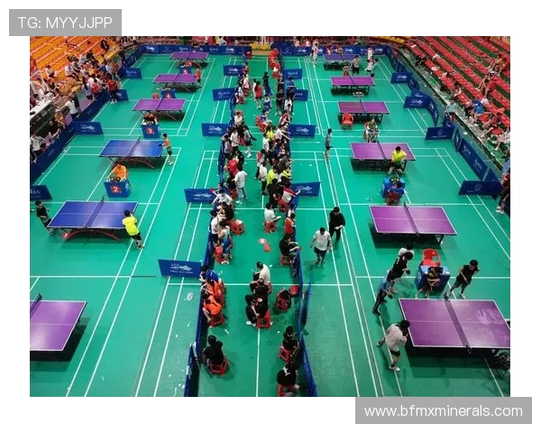 武汉乒乓球队的运营揭秘与深度分析探讨乒乓球运动的未来发展